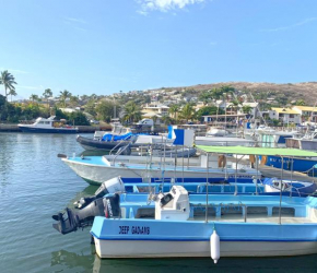 Résidence AU BORD DE L EAU Chambre privée PAILLE-EN-QUEUE à Saint-Gilles-les-bains climatisée pour 2 personnes